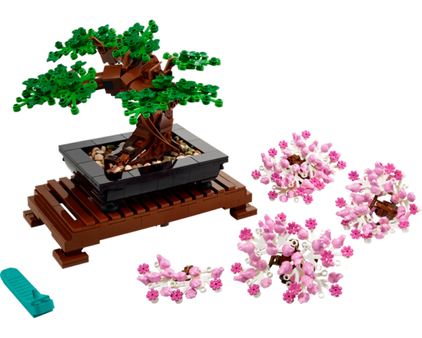 Bonsai Tree