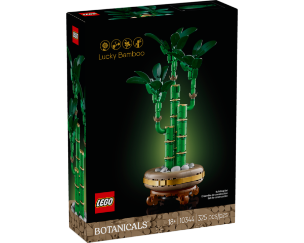 Lucky Bamboo